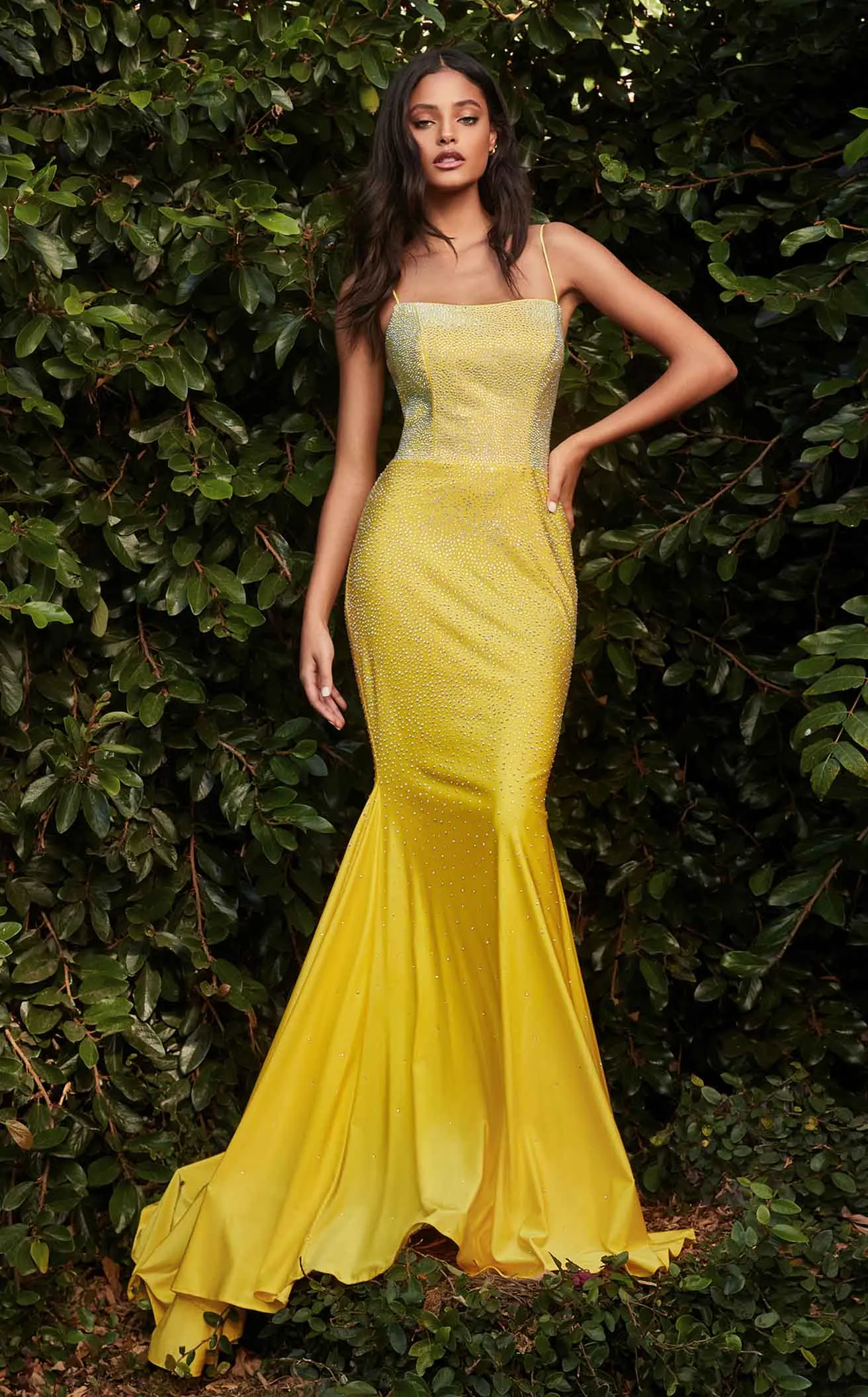 Cinderella Divine CD0179 Dress